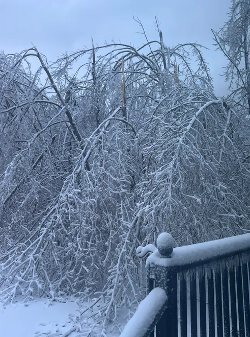 cheboy icestorm